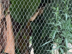 ステンレス鋼ロープ網 網 金属ワイヤ網 フェルル 動物園網 ダイヤモンド状の格子構造