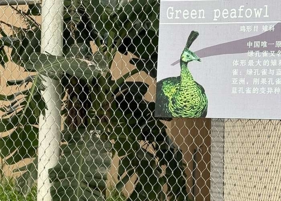 ロームボイドホール 動物園ロープ網 ステンレス鋼 柔軟なフェローリング 動物の囲みのために