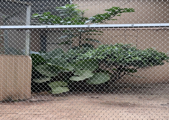 2mm 直径 316 316l ステンレス鋼のワイヤロープ網 動物園の動物園用