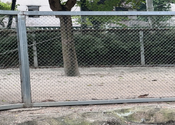 高強度 2mm 直径のワイヤロープ網 安全な動物園の動物飼育場のために