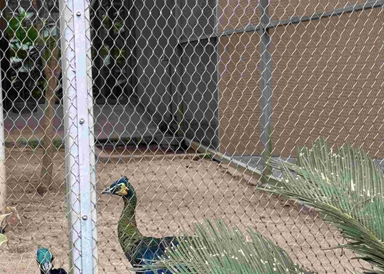 鉄鋼316型ロープ網 鉄輪付き 鳥類用 動物園用