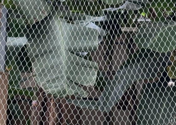 ロームボイドホール 動物園ロープ網 ステンレス鋼 柔軟なフェローリング 動物の囲みのために