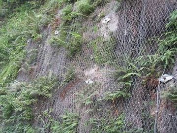 銀行/山の保護のために六角形電流を通された六角形の金網
