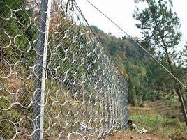 熱い浸されたGalvanizedsteelの金属リング網の平織り斜面安定システム