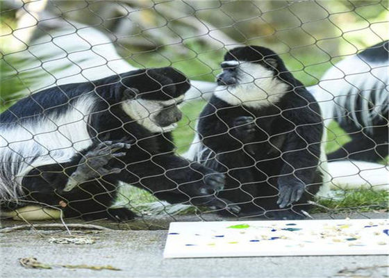 動物のエンクロージャのための304 316l ODMの鋼鉄ロープの網